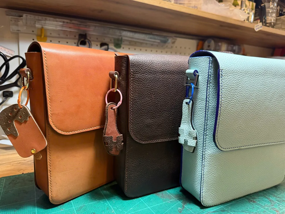 Crossbody bag nắp gập ảnh 2